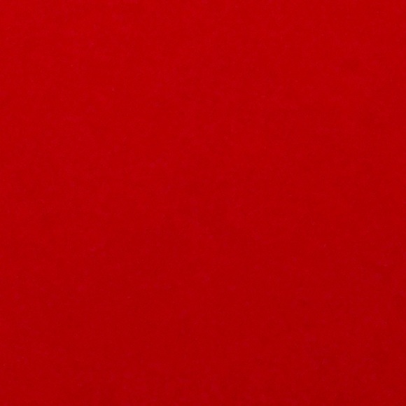 Meet your Posher, Bree - Picture 1 of 1